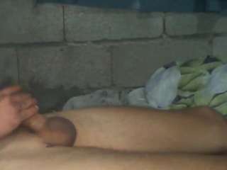 bellansm